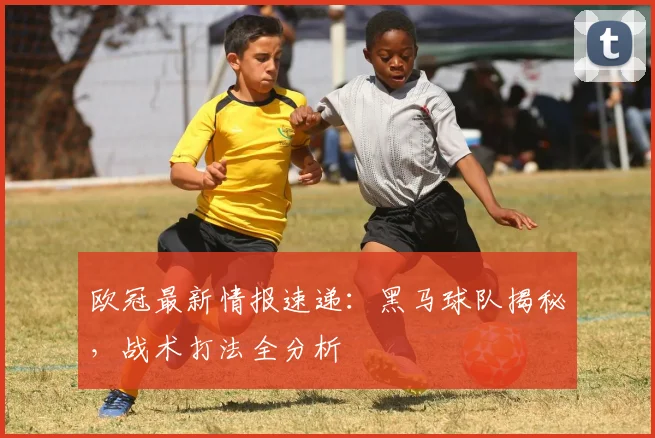 欧冠最新情报速递：黑马球队揭秘，战术打法全分析