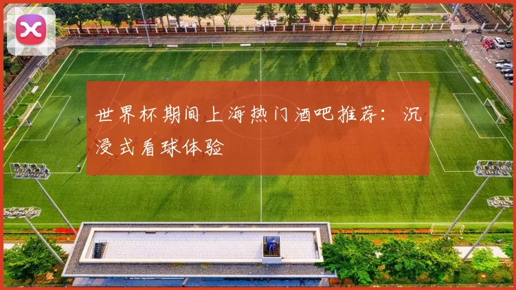 世界杯期间上海热门酒吧推荐：沉浸式看球体验