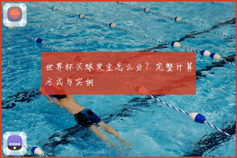 世界杯买球奖金怎么分？完整计算方式与实例